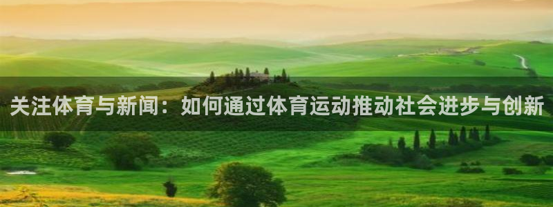 制胜体育最新版本
