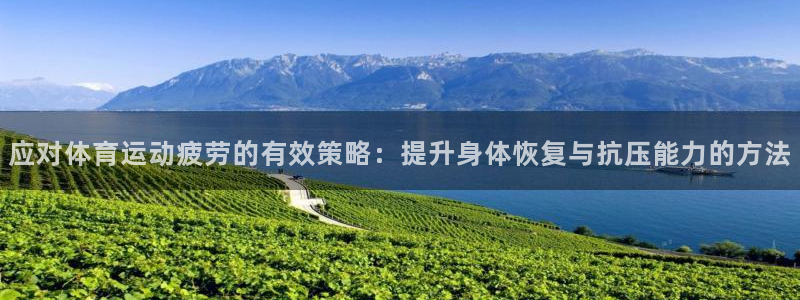 制胜体育官网