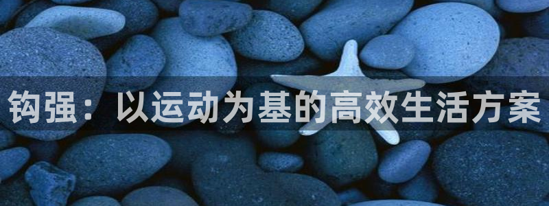 制胜体育官网