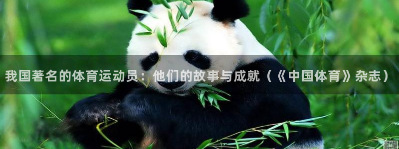 制胜体育为什么下载不了