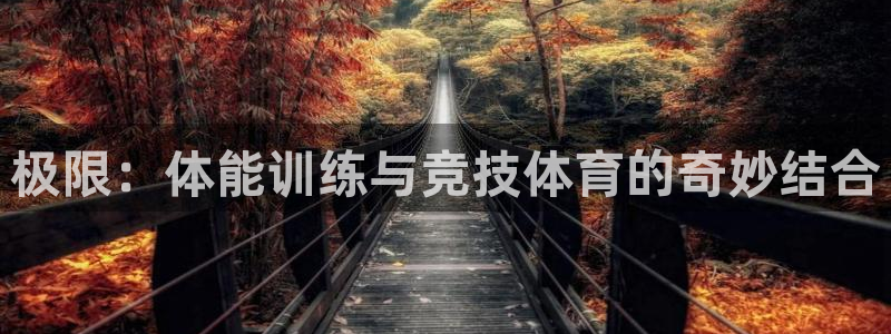 制胜体育app下载入口