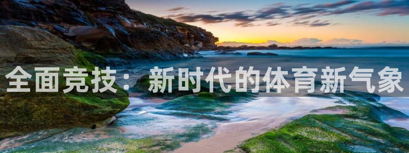 制胜体育在线下载