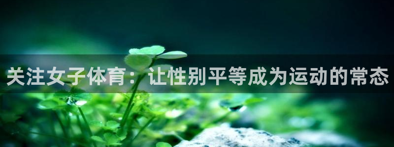 制胜体育怎么打不开了