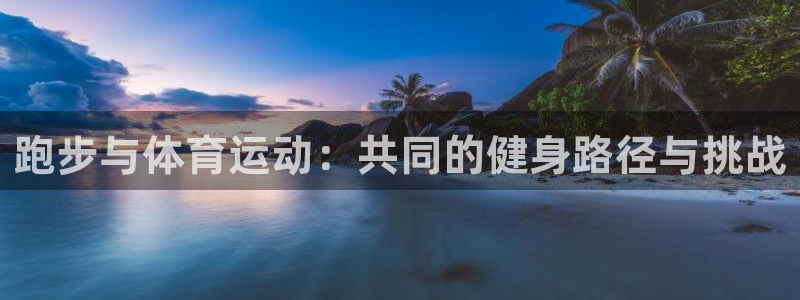 制胜体育软件