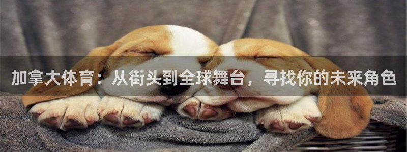 制胜体育app下载