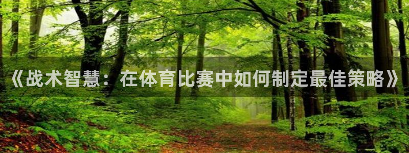 制胜体育新版本官网