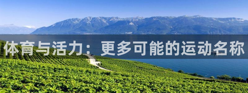 制胜体育篮球直播在线观看：体育与活力：更多可能的运动名称