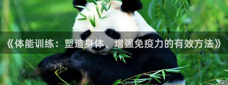 制胜体育老版本：《体能训练：塑造身体、增强免疫力的有效方法》